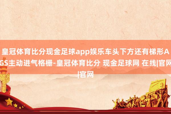 皇冠体育比分现金足球app娱乐车头下方还有梯形AGS主动进气格栅-皇冠体育比分 现金足球网 在线|官网