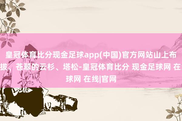 皇冠体育比分现金足球app(中国)官方网站山上布满了挺拔、苍翠的云杉、塔松-皇冠体育比分 现金足球网 在线|官网