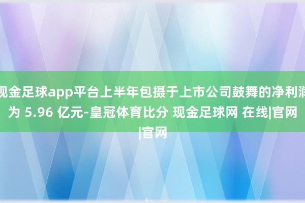 现金足球app平台上半年包摄于上市公司鼓舞的净利润为 5.96 亿元-皇冠体育比分 现金足球网 在线|官网
