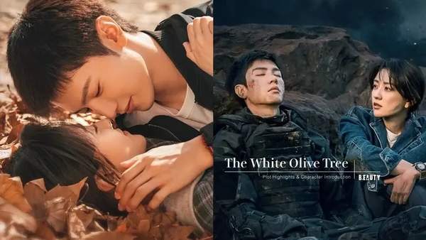 白色橄榄树什么技巧上映？主演声势&剧情先容