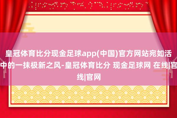 皇冠体育比分现金足球app(中国)官方网站宛如活命中的一抹极新之风-皇冠体育比分 现金足球网 在线|官网