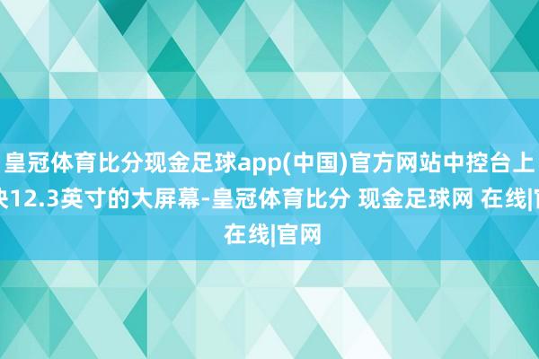 皇冠体育比分现金足球app(中国)官方网站中控台上那块12.3英寸的大屏幕-皇冠体育比分 现金足球网 在线|官网