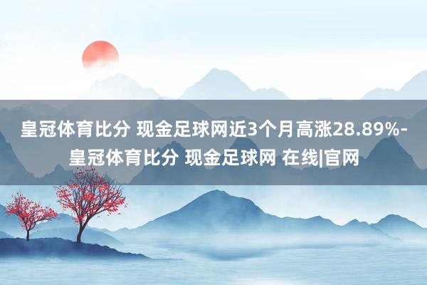 皇冠体育比分 现金足球网近3个月高涨28.89%-皇冠体育比分 现金足球网 在线|官网