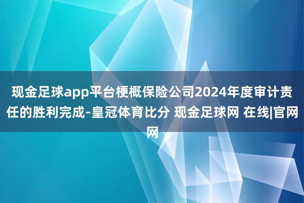 现金足球app平台梗概保险公司2024年度审计责任的胜利完成-皇冠体育比分 现金足球网 在线|官网