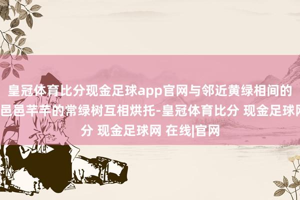 皇冠体育比分现金足球app官网与邻近黄绿相间的草地和远方邑邑芊芊的常绿树互相烘托-皇冠体育比分 现金足球网 在线|官网