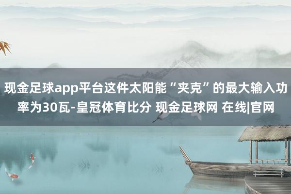现金足球app平台这件太阳能“夹克”的最大输入功率为30瓦-皇冠体育比分 现金足球网 在线|官网