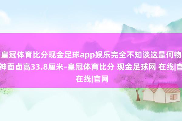 皇冠体育比分现金足球app娱乐完全不知谈这是何物？神面卣高33.8厘米-皇冠体育比分 现金足球网 在线|官网